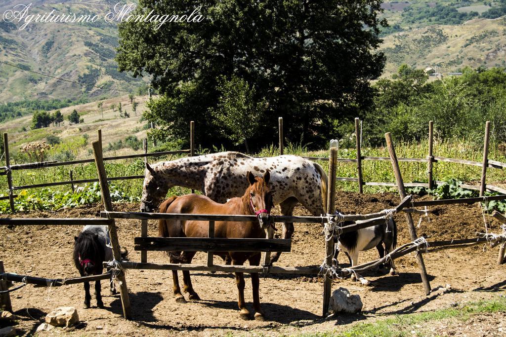 Agriturismo Montagnola Abruzzo Villa Casalanguida Buitenkant foto
