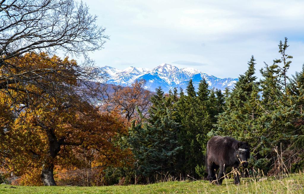 Agriturismo Montagnola Abruzzo Villa Casalanguida Buitenkant foto